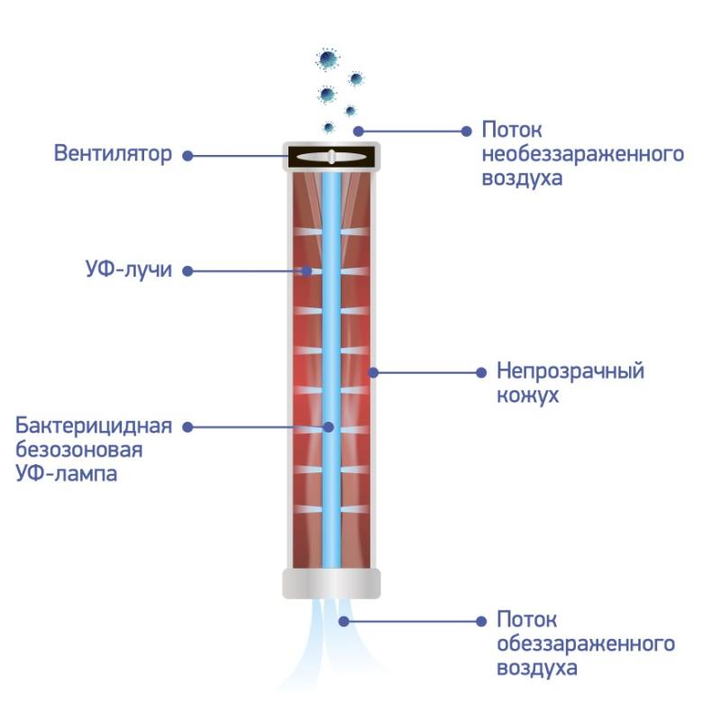 Конструкция