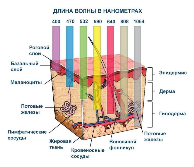 Что надевается на лампочку