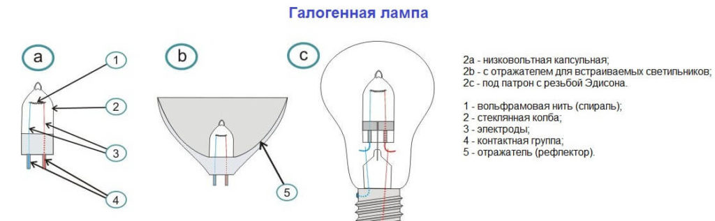 Сравнение светодиодных и галогеновых лампочек